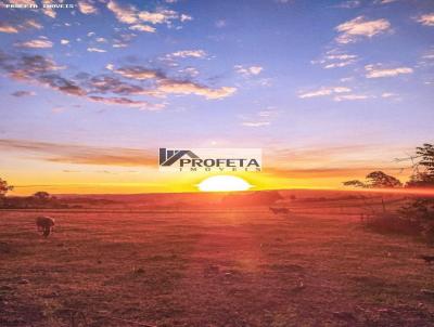 S�tio para Venda, em , bairro Marilia SP, 2 dormit�rios, 2 banheiros, 1 su�te