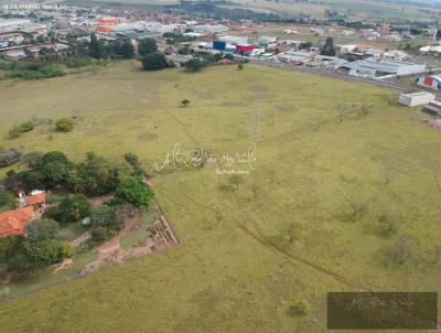 Terreno para Venda, em Gar�a, bairro Parque Santa Maria