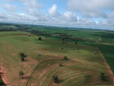 Fazenda para Venda, em , bairro Centro