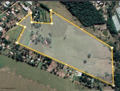 �rea para Venda, em , bairro Rodovia 294