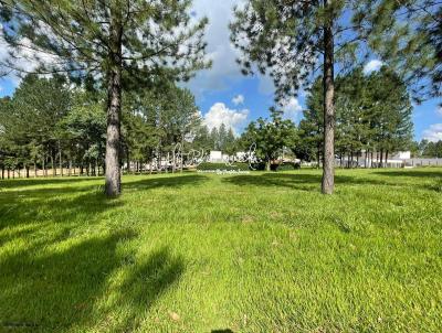 Terreno em Condom�nio para Venda, em Mar�lia, bairro Condom�nio Vale do Cana�