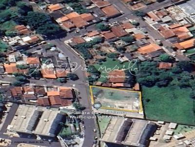 Terreno para Venda, em Mar�lia, bairro Higien�polis
