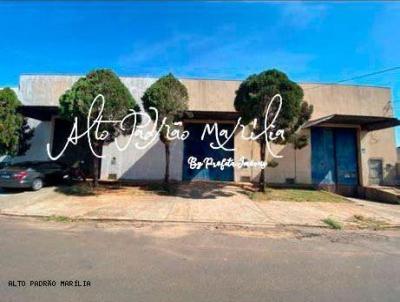 Barrac�o para Venda, em Mar�lia, bairro Jardim Vit�ria
