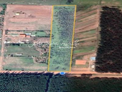 Terreno para Venda, em Vera Cruz, bairro Zona Rural