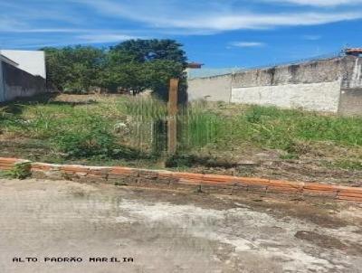 Terreno para Venda, em Mar�lia, bairro Jardim S�o Francisco