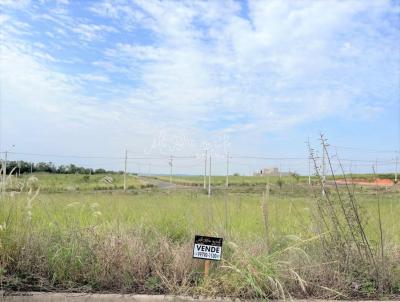 Terreno para Venda, em Mar�lia, bairro Antenor Barion