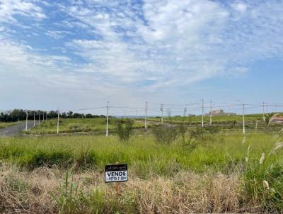 Terreno para Venda, em Mar�lia, bairro Antenor Barion