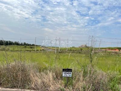 Terreno para Venda, em Mar�lia, bairro Antenor Barion