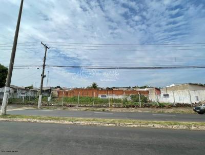 Terreno para Venda, em Mar�lia, bairro Jardim Santa Antonieta