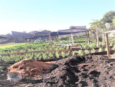 Terreno para Venda, em Pomp�ia, bairro Jardim Residencial Boa Vista