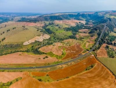 Fazenda para Venda, em Mar�lia, bairro �rea Rural de Mar�lia