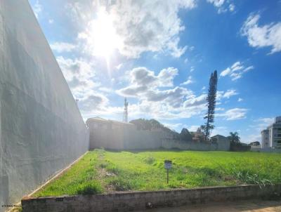Terreno para Venda, em Mar�lia, bairro Senador Salgado Filho
