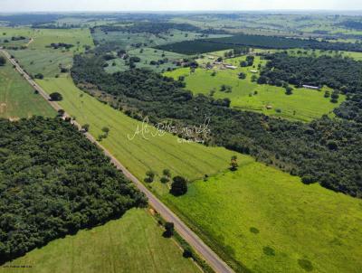 S�tio para Venda, em Lup�rcio, bairro Estrada Vicinal Jo�o Kemp Filho