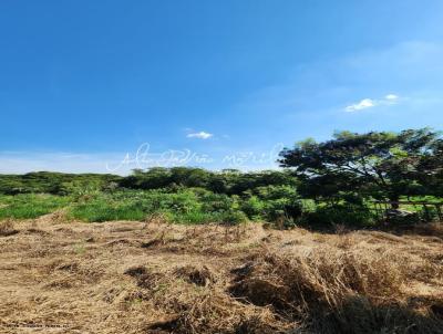 Ch�cara para Venda, em Mar�lia, bairro S�tio de Recreio Est�ncia Oralina, 2 dormit�rios, 2 banheiros, 1 su�te, 6 vagas