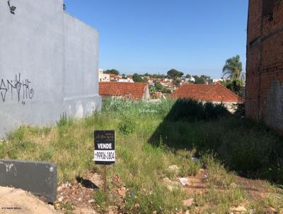 Terreno para Venda, em Mar�lia, bairro Jardim Mar�lia