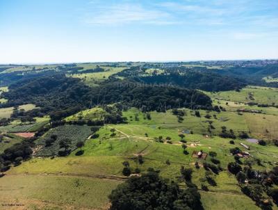 Fazenda para Venda, em Mar�lia, bairro Fazenda Terra Boa