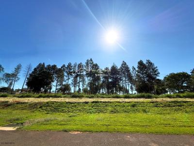 Terreno em Condom�nio para Venda, em Mar�lia, bairro Condom�nio Vale do Cana�