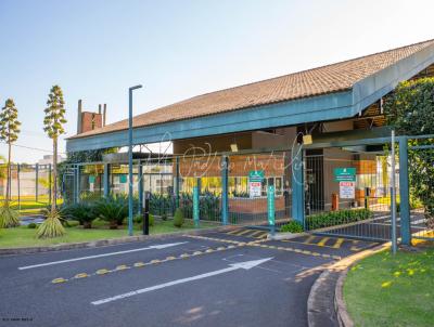 Casa em Condom�nio para Venda, em Mar�lia, bairro Condom�nio Village Damha, 3 dormit�rios, 5 banheiros, 3 su�tes, 2 vagas