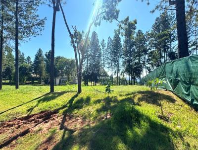Terreno em Condom�nio para Venda, em Mar�lia, bairro Condom�nio Vale do Cana�