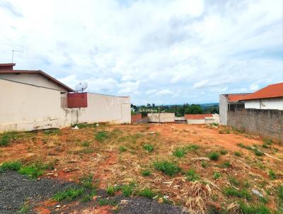 Terreno para Venda, em , bairro Centro