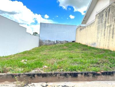 Terreno para Venda, em Mar�lia, bairro Jardim Floren�a