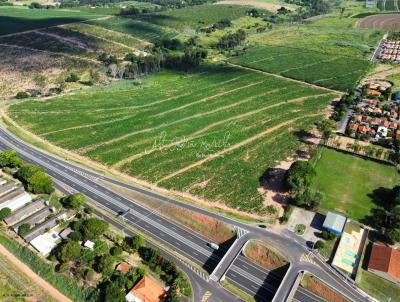 �rea para Venda, em , bairro SP - 294