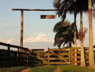 S�tio para Venda, em Gar�a, bairro �rea Rural, 5 dormit�rios, 3 banheiros, 2 su�tes, 8 vagas