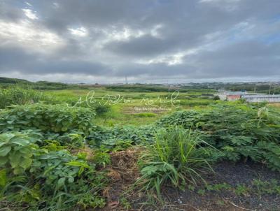 Terreno para Venda, em Mar�lia, bairro Jardim Parati